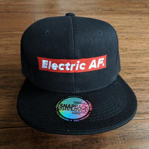 Electric AF 6 Panel - EV Origins